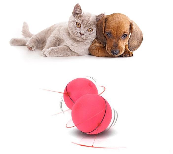 Pet Chase Toys