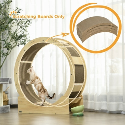 Pet Chase Toys