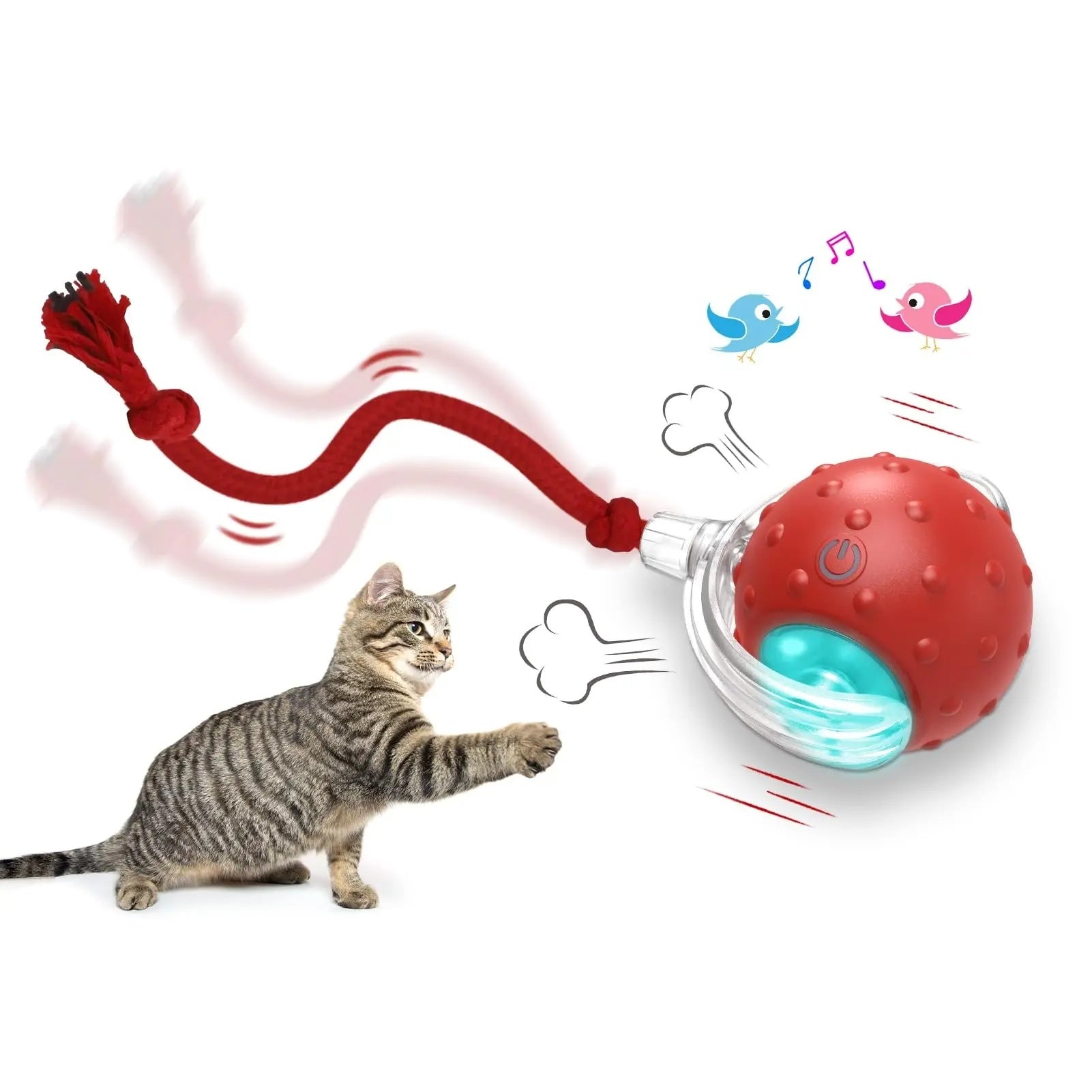 Pet Chase Toys